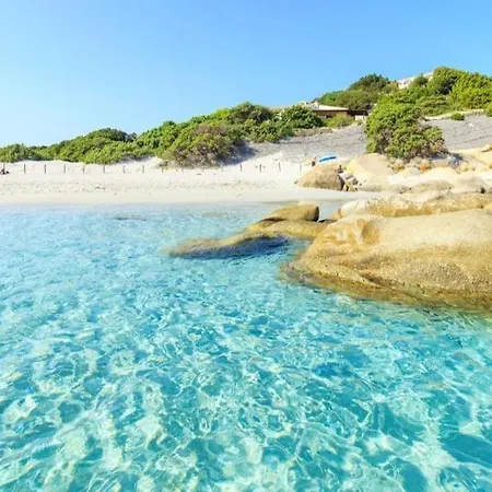 Tatil Evi Monica House *