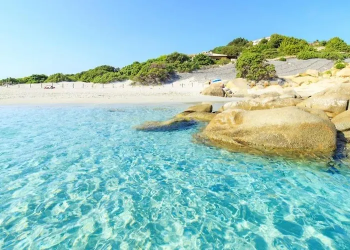 Дом отдыха Monica House *